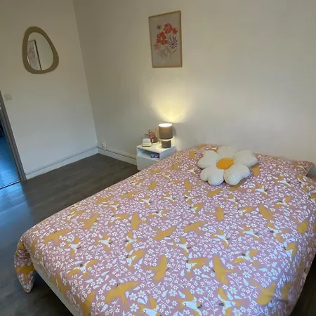 アパート Hypercentre - Bel Cosy 65m *